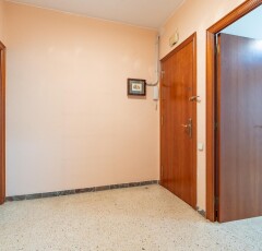 335701964_61b06f3a1aae7354d5ecb8adda99a5851