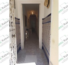 103707_66b9690a5f7f93cb003d977a479522641