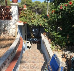 141995_2d2740ffd0216e1b665415a25cc624a41