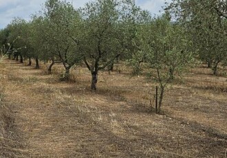 Sòl rústic – Mora d Ebre  m2 photoOne