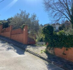 411656161_1d59b913607047545ceba76724d244cb