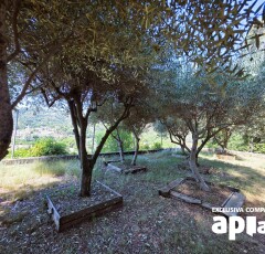 490276362_5fb45ade42cda53fb8a6ad5a9f6af1a8