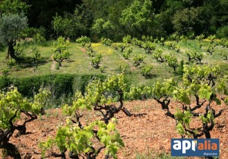 Sòl urbà – Montornès del Vallès  m2 photoOne